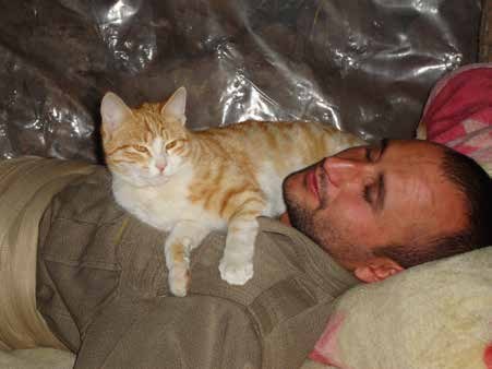 Rest, with the cat